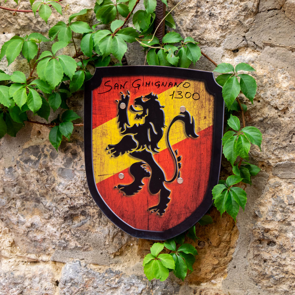 Medieval Coat of Arms